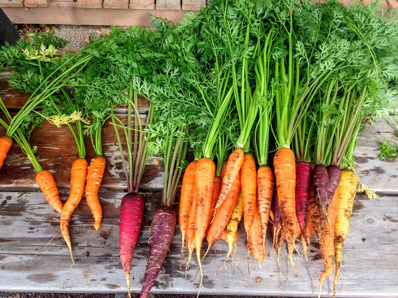 Lente! De start van het moestuinseizoen