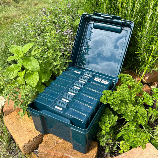 Kleine Aufbewahrungsbox für Feggies-Samen