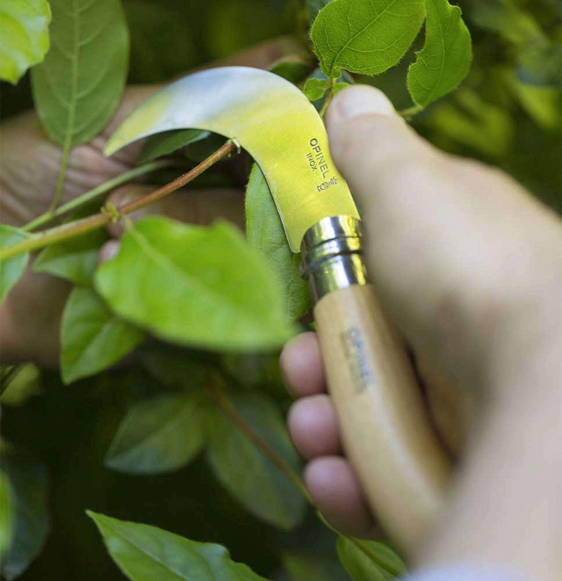 Opinel - Gartenmesser Nr. 10 - Opinel Garden