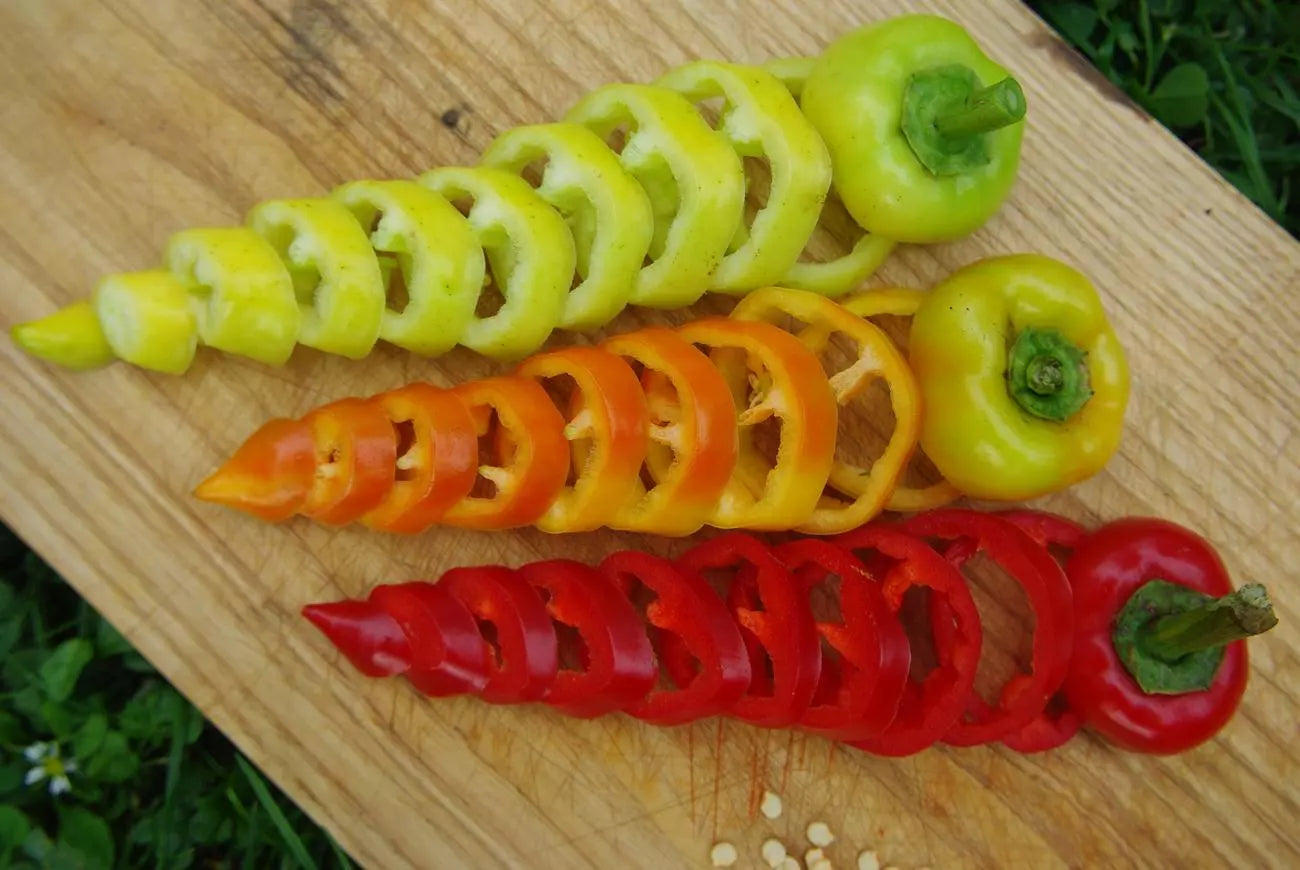 Paprika Roter Augsburger Bio-Samen