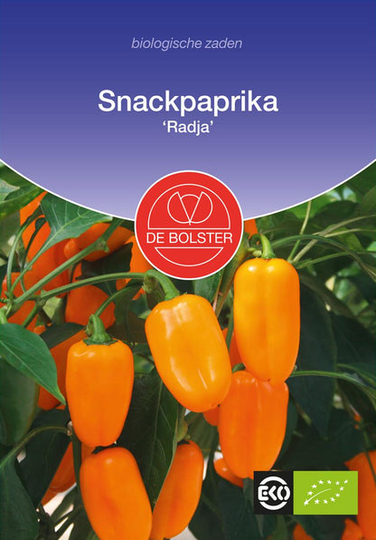 Snackpaprika 'Radja' Bio