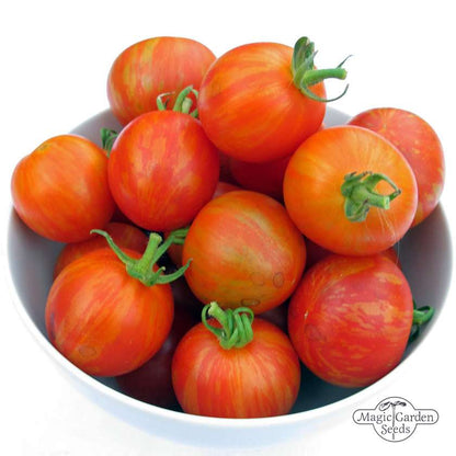 Tomaten-Tigerella-Samen Bio 