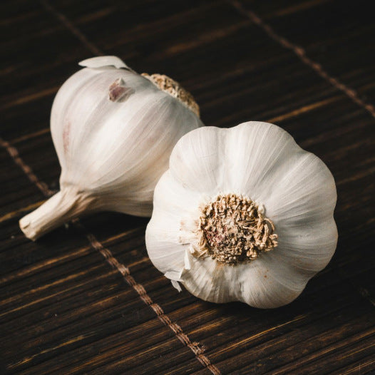 Knoblauch-Rosenfrühling Clédor Bio