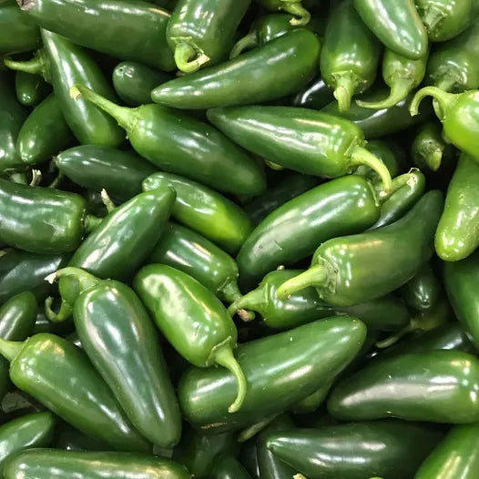 Jalapeño-Pfeffersamen aus biologischem Anbau