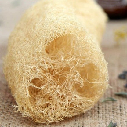 Kürbis-Biskuit-Luffa-Samen Bio