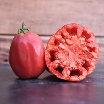 Samen der Tomate Grosse des Marais