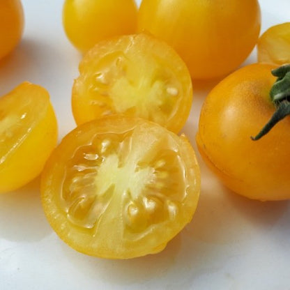 Kirschtomaten-Balconi-gelbe Samen aus biologischem Anbau