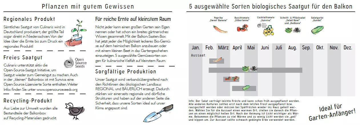 Kleiner Balkonkasten Culinaris