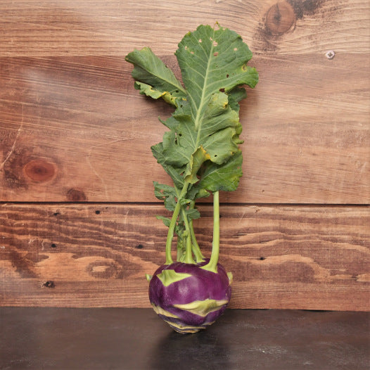 Kohlrabi Dyna Samen Bio