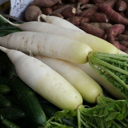 Rettich (Winter) Marché de Zurich Samen