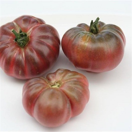 Tomaten-Lila-Kalebasse-Samen