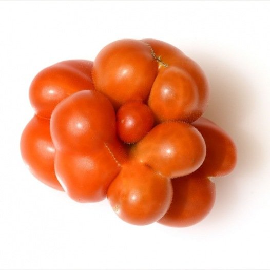 Tomaten-Voyage-Samen