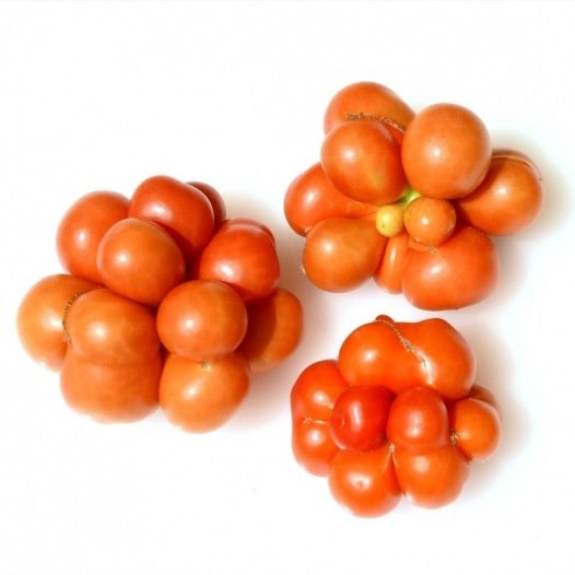 Tomaten-Voyage-Samen